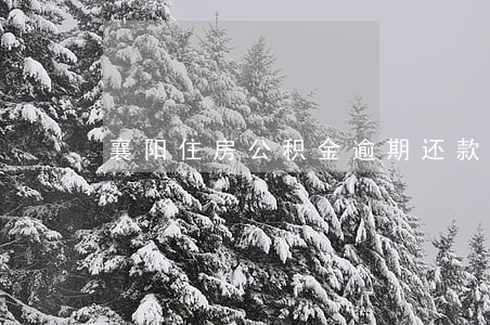 襄阳住房公积金逾期还款 襄阳住房公积金逾期还款