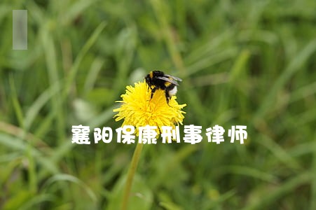 襄阳保康刑事律师 襄阳保康刑事律师