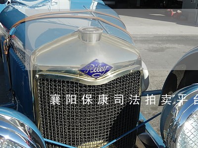 襄阳保康司法拍卖平台