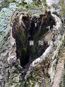 襄阳保康律师专业擅长推荐