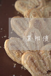 襄阳债务律师事务所 襄阳债务律师事务所