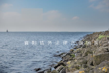 襄阳债务法律咨询团队 襄阳债务法律咨询团队