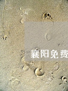 襄阳免费法律咨询地址