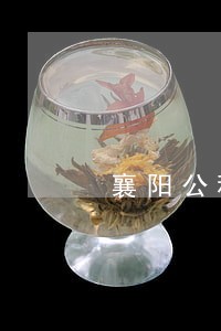 襄阳公积金中心法律顾问