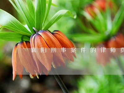 襄阳刑事案件的律师费用 襄阳刑事案件的律师费用