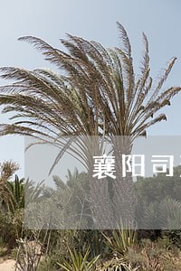 襄阳司法亲子鉴定中心在哪里 襄阳司法亲子鉴定中心在哪里