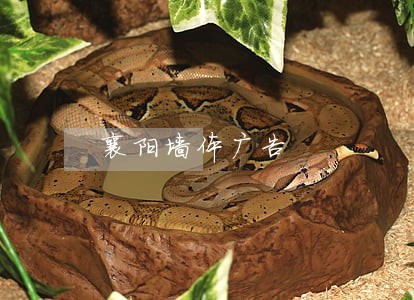 襄阳墙体广告 襄阳墙体广告