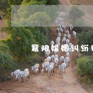 襄阳婚姻纠纷律师 襄阳婚姻纠纷律师