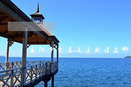 襄阳市交通违法处理在哪里 襄阳市交通违法处理在哪里