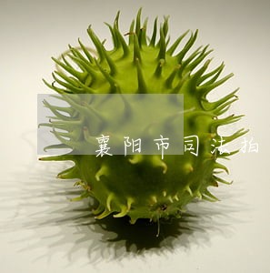 襄阳市司法拍卖万涛房产 襄阳市司法拍卖万涛房产