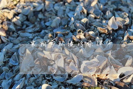 襄阳市环境污染律师 襄阳市环境污染律师