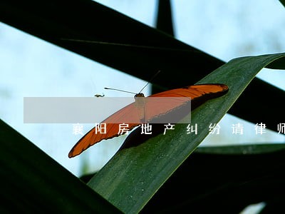 襄阳房地产纠纷请律师 襄阳房地产纠纷请律师