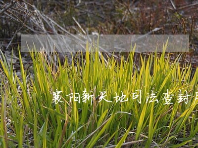 襄阳新天地司法查封房情况 襄阳新天地司法查封房情况