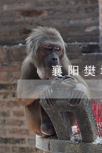 襄阳樊城债权债务律师在线咨询 襄阳樊城债权债务律师在线咨询