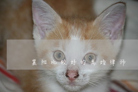 襄阳比较好的离婚律师 襄阳比较好的离婚律师