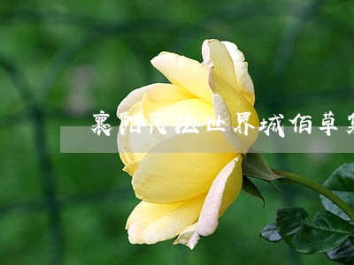襄阳民法世界城佰草集 襄阳民法世界城佰草集