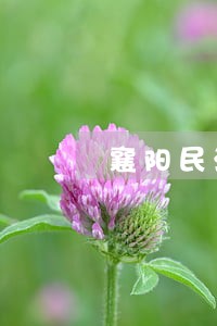 襄阳民法世界城大酒店 襄阳民法世界城大酒店