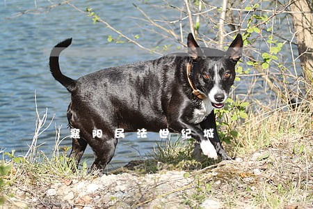 襄阳民法世纪城