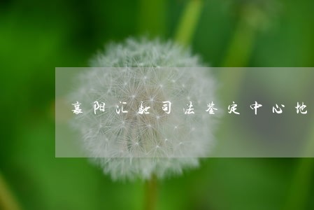 襄阳汇驰司法鉴定中心地址