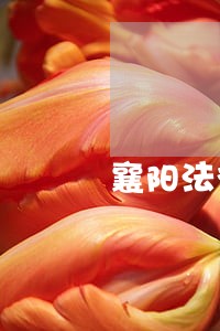 襄阳法律咨询团队 襄阳法律咨询团队