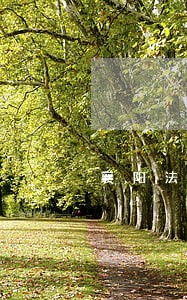 襄阳法院侯 襄阳法院侯