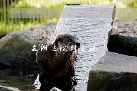 襄阳法院刘爱瑛 襄阳法院刘爱瑛