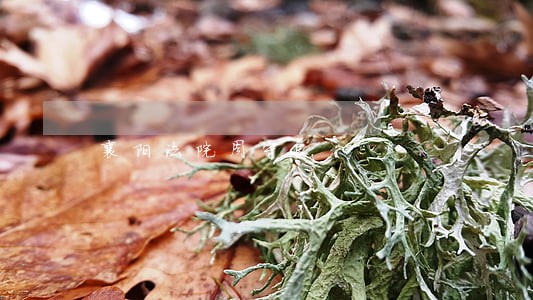 襄阳法院周守良 襄阳法院周守良