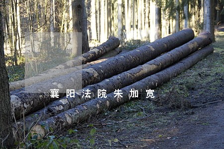 襄阳法院朱加宽