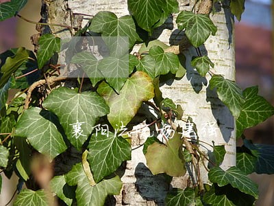 襄阳法院杨建强 襄阳法院杨建强