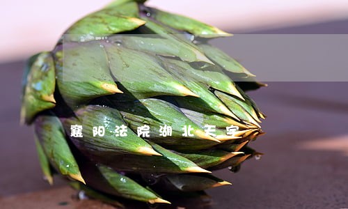 襄阳法院湖北天宇 襄阳法院湖北天宇