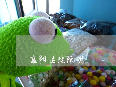 襄阳法院陈明 襄阳法院陈明