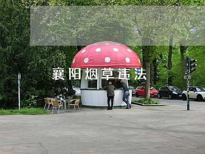 襄阳烟草违法 襄阳烟草违法