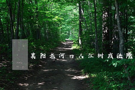襄阳老河口人江树成法院案件 襄阳老河口人江树成法院案件