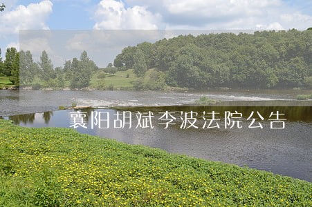 襄阳胡斌李波法院公告