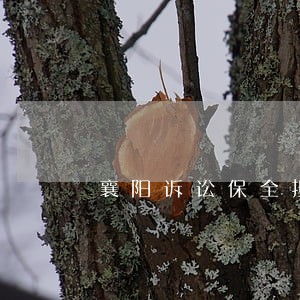 襄阳诉讼保全担保