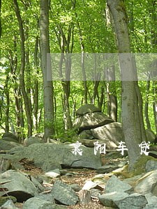 襄阳车贷逾期催收招聘