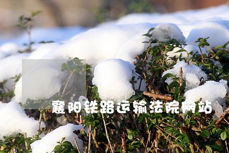 襄阳铁路运输法院网站