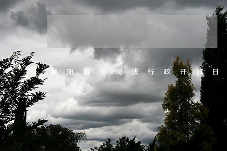 襄阳首届司法行政开放日活动 襄阳首届司法行政开放日活动