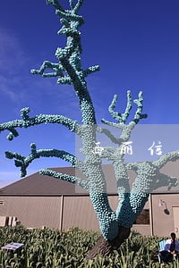 西丽信用卡逾期