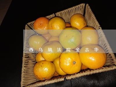 西乌旗法院金志华 西乌旗法院金志华