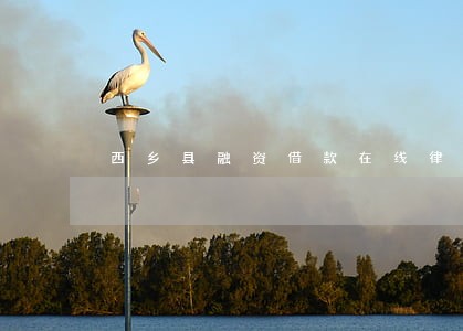 西乡县融资借款在线律师 西乡县融资借款在线律师