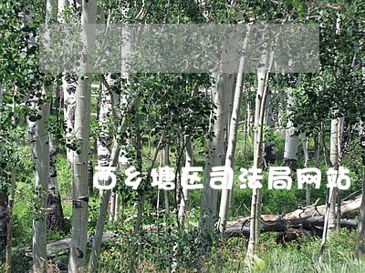 西乡塘区司法局网站 西乡塘区司法局网站