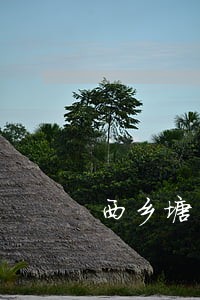 西乡塘区婚姻推荐律师 西乡塘区婚姻推荐律师