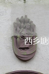 西乡塘区婚姻调解律师 西乡塘区婚姻调解律师