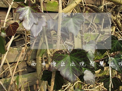 西乡塘区法院智慧法院建设 西乡塘区法院智慧法院建设