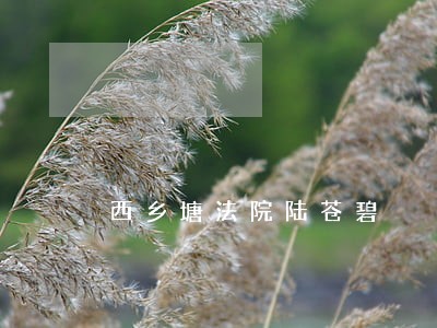 西乡塘法院陆苍碧 西乡塘法院陆苍碧