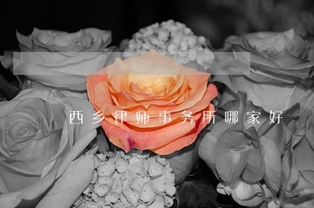 西乡律师事务所哪家好 西乡律师事务所哪家好