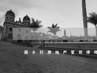西乡打房地产官司律师