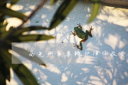 西充刑事案辩护律师收费标准 西充刑事案辩护律师收费标准