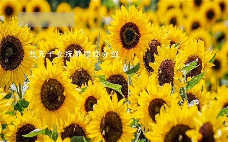 西充子女抚养律师介绍 西充子女抚养律师介绍